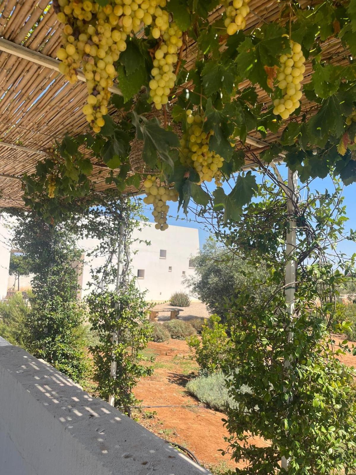Villa Casa Bianca Di Porto Selvaggio Santa Caterina  Ngoại thất bức ảnh